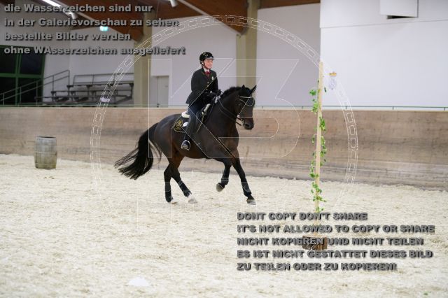 s_K3F01709.JPG